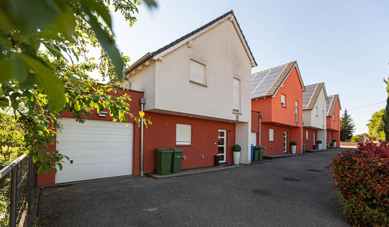 Griesheim-près-Molsheim Les Maisons Solaires Villa Pour 15 Pers Maxi מראה חיצוני תמונה